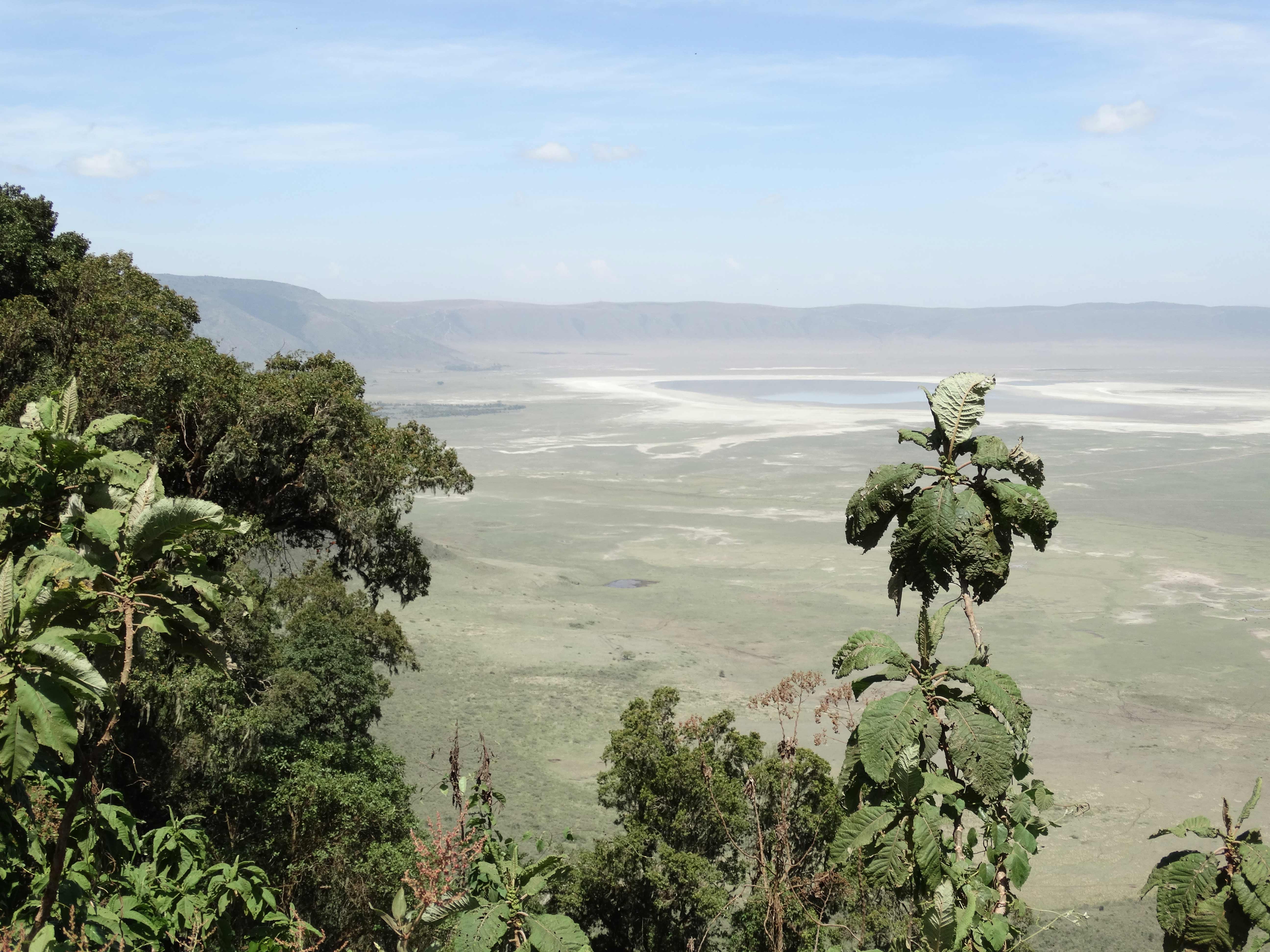 Africa Tangose Safaris Ngorongoro Crater